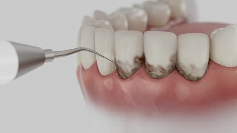 Reliable Dental contractor in University Park, IL by Dentist Open Now